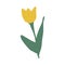 tulip icon, sticker. hand drawn doodle. trend colors 2021 gold, green, yellow. baby, flowers, spring, summer.