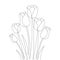 tulip line art flower coloring page design for printing template continuous black stroke