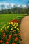 Tulip Path at Monticello, Virginia