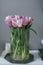 A tulip pink and red flower in home decor.