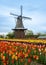 Tulip Time `21 - DeZwaan Windmill, Windmill Island Gardens, Holland, MI