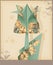 Tulip - vintage decorative paper.