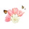 Tulip waretcolour drawing with flying butterflies on white background. Flowers of late spring