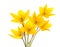Tulipa sylvestris bouquet of yellow flowers