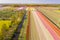 Tulipfields in full blossom from above in Holland