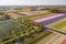 Tulipfields in full blossom from above in Holland