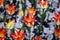Tulips amazing spring flowers. Orange tulips flowers of love