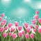 Tulips background with copy space