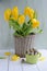 Tulips in basket, spring easter background