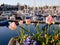 Tulips bloom on the shore of Sidney, Vancouver Island, BC with yachts in marina