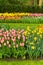 Tulips and bluebell flowerbed