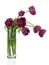 Tulips bouquet in glass vase