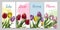 Tulips bouquet on spring posters or banners set, sketch vector illustration.