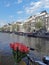 Tulips, Canal, Amsterdam