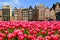 Tulips with canal houses of Amsterdam