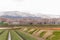 Tulips and cherry blossom trees or sakura with the Japanese Alps mountain range in the background , the town of Asahi in Toyama