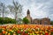 Tulips and City Hall, in Albany, New York