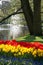 Tulips and Daffodils at the border of a pond with fountain