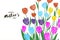 Tulips. Different colorful flowers on white background. Happy Mothers day. Spring time. Happy womens day.