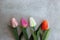 Tulips on distort concerte background with copy space for message. Mother`s Day background. Top view