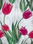 Tulips - drawing gouache on the background of watercolor. Spring flowers. Seamless pattern.