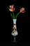 Tulips in an elegant flower vase