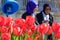 Tulips festival Istanbul, urban scene