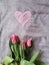 Tulips flower spring heart background