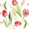 Tulips flower watercolor pattern illustration textile print