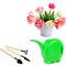 Tulips in a flowerpot, garden tools and a watering can isolated on a whited. Collage. There is free space for text