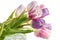 Tulips flowers bouquet white background