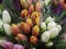 Tulips flowers. Bouquets of white yellow pink tulips. flower composition. Spring flowers.