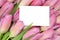 Tulips flowers in spring or mother\'s day with empty greeting car