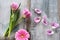 Tulips and gerbera on gray vintage planks