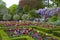 Tulips in Holland park, London