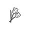 tulips line illustration icon on white background