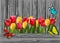 Tulips on old grey wooden boards