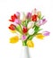 Tulips over white background