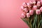 tulips on pink background, copy space Card for Mothers day, 8 March, Happy Easter. Waiting for spring