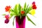 Tulips in a pink vase