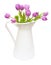 Tulips in Pitcher