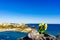 Tulips and sea coast landscape in Spain