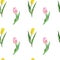 Tulips seamless pattern. Watercolor spring botanical background. Hand painted illustration