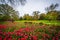 Tulips at Sherwood Gardens Park, in Baltimore, Maryland.