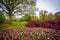 Tulips at Sherwood Gardens Park, in Baltimore, Maryland.