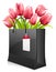 Tulips in shopping bag on white