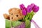 Tulips and teddy bear in gift bag