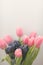 Tulips in a vase with blur and soft focus effects . Pastel colored abstract tulip.