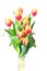 Tulips in vase. Yellow and red spring flowers.