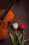Tulips and violin